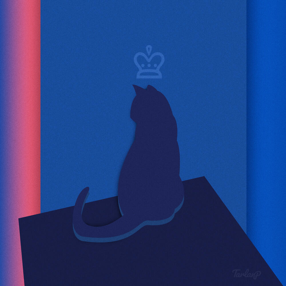 The Cat The Cat