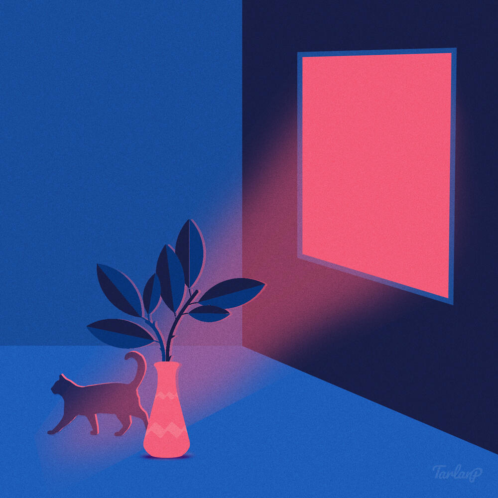 The Cat By The Window