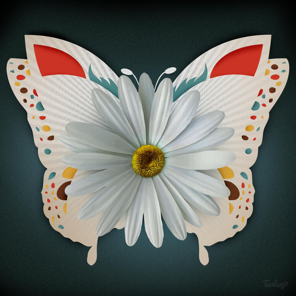 White-Butterfly