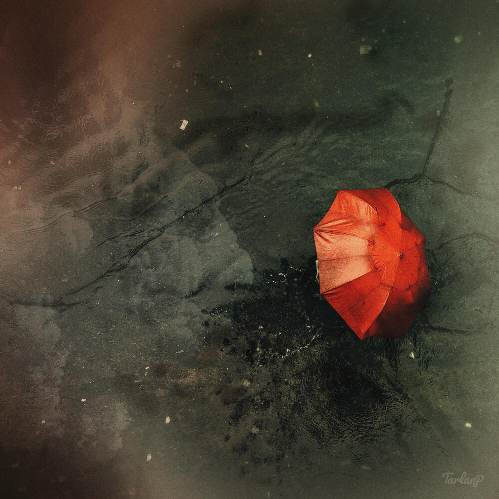 Umbrella in the Rainy Street